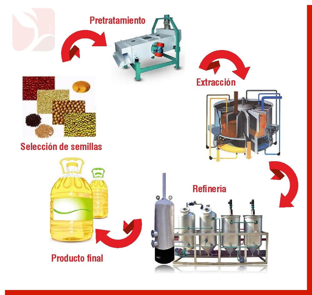 Plant and equipment feasibility studies